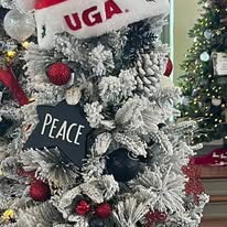 A festive detail celebrating a favorite team at the WNC Festival of Trees in Hayesville, North Carolina