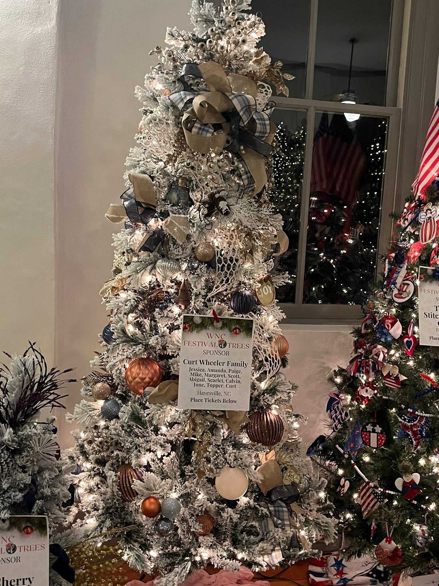 A graceful family tree sparkling in silver, champagne, and winter white at the WNC Festival of Trees in Hayesville, North Carolina